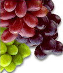 /photo.cms?msid=27946829